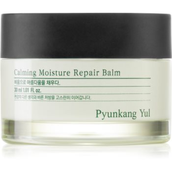 Pyunkang Yul Calming Moisture Repair Balm Balsam de buze regenerator di hidratant pentru piele sensibilă - imagine 2